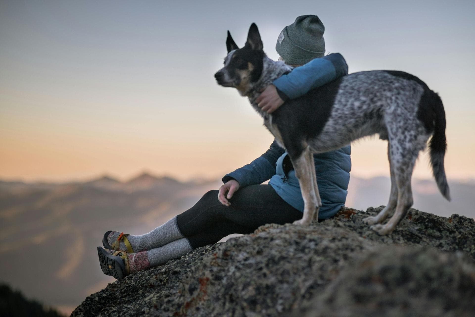 Specialist Vets in Lawrenceville